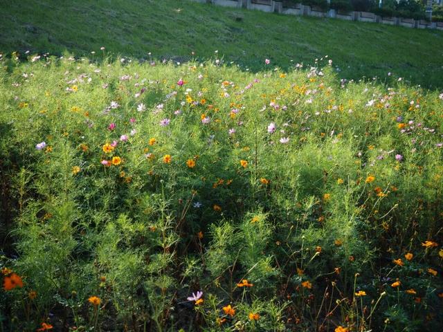 偶尔觉得，和我谈恋爱真是对方赚到了。