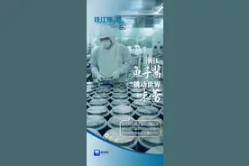 钱江观潮丨浙江鱼子酱，挑动世界味蕾图片