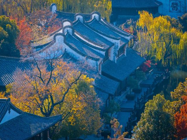 抓住秋天的尾巴 | 台儿庄古城秋色打卡指南，附私藏机位！
