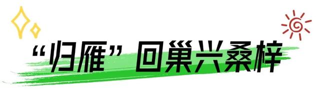 ​火了！珠海这条村政府出资，破旧石屋“爆改”成网红民宿！