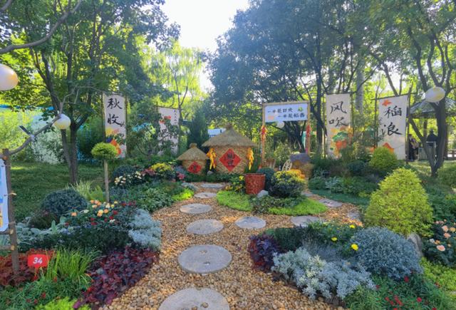 济南植物园花境展+五大特色活动，开启金秋好时光