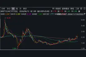 连续三日股价异动，*ST文投公告不存在应披露而未披露的重大事项图片