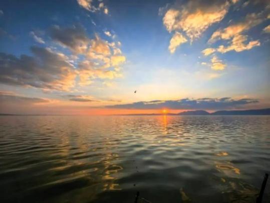 绝了！一汪清水引鱼回，美到出圈还能赚钱丨只此青绿 江山答卷