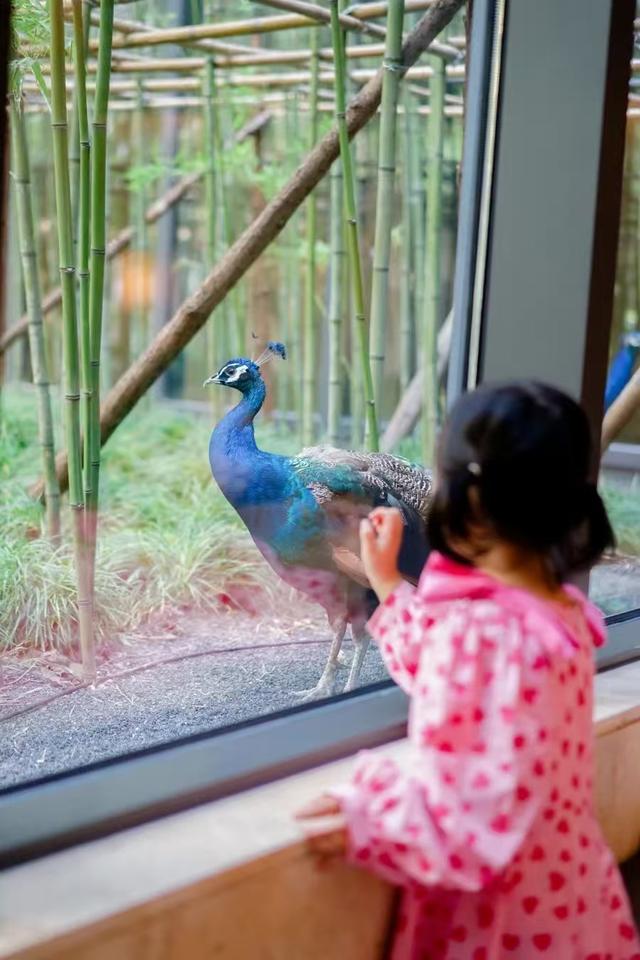 叶辛：沧海桑田三甲港