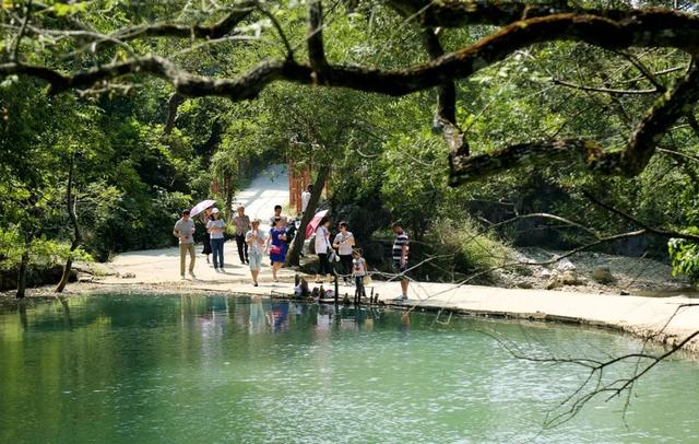 解锁融安“美丽庭院”新玩法，畅享乡村自在游
