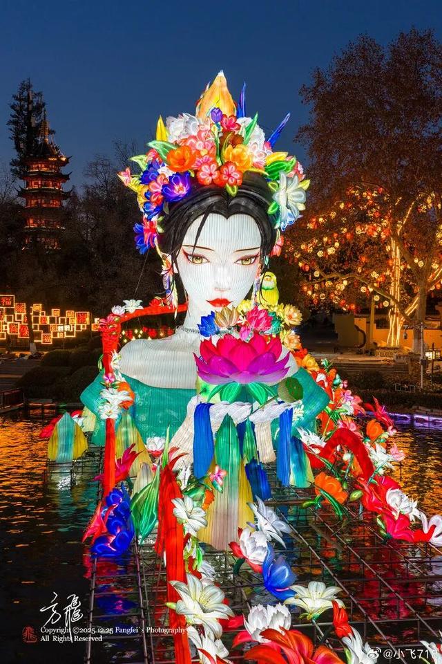 门东新“顶流”！一棵美到让全南京排队围观的树！