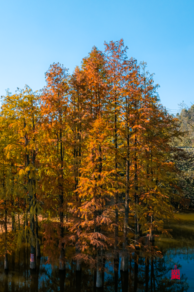 抓住晴天尾巴，徒步青龙山！