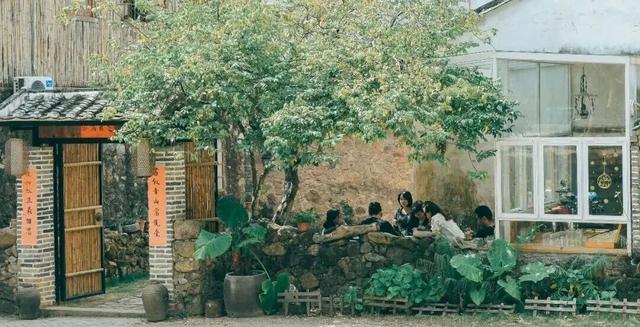 多位外籍网红博主“打卡”阳江