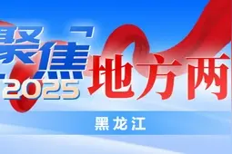 【两会＠你】端稳端牢“中国饭碗”！2025年黑龙江省加快发展现代化大农业图片