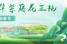 千米紫藤花长廊邀您共赏！大冶首届紫藤花文化旅游节9日开幕图片