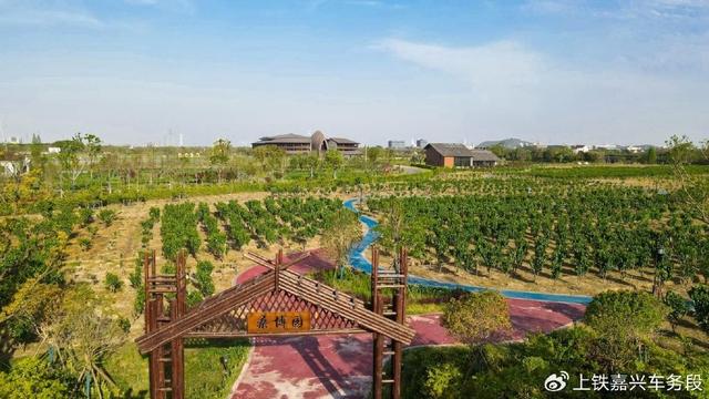 坐高铁，赴潞村，带你走进古韵与生态交融的乡村样本