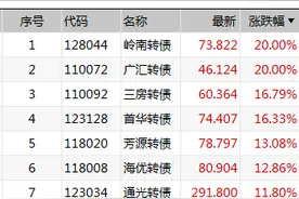 多重利好！低价转债集体暴涨图片