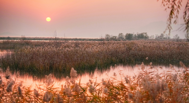 落霞与孤鹜齐飞，野鸭湖湿地再现中国式浪漫意境