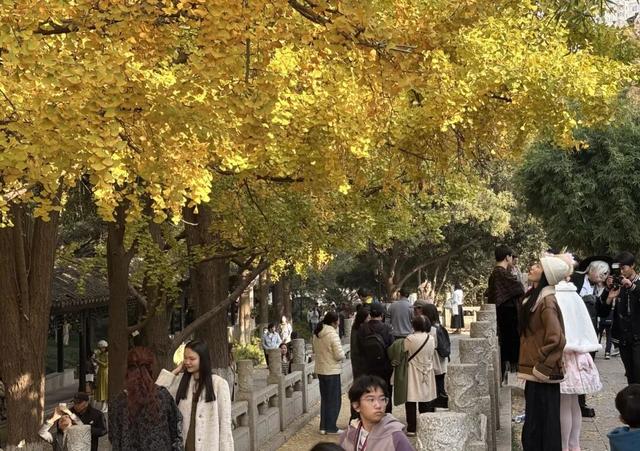 人人人人人！今天常州热度爆了