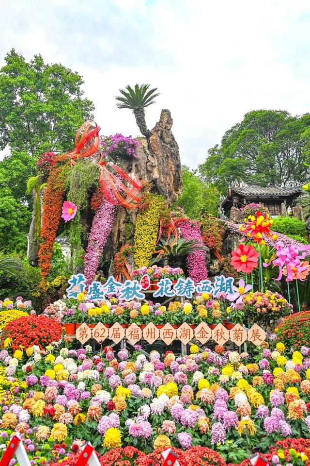 除了看菊花展，福州西湖公园还能怎么逛？