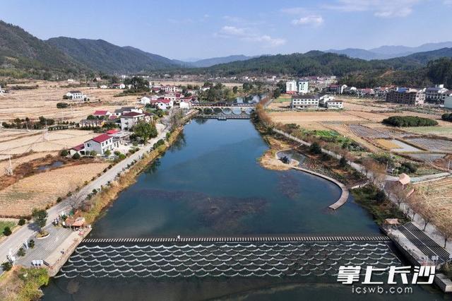 缤纷冬日 画意小河丨组图