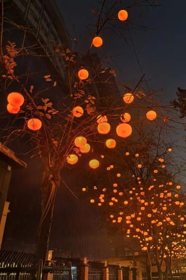 快出门！这些全是洛阳冬日限定！