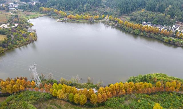 天眼影像｜黔西：湿地公园冬景美
