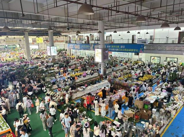 真的有！100000000人来昆明玩！ 昆明等你来避暑~