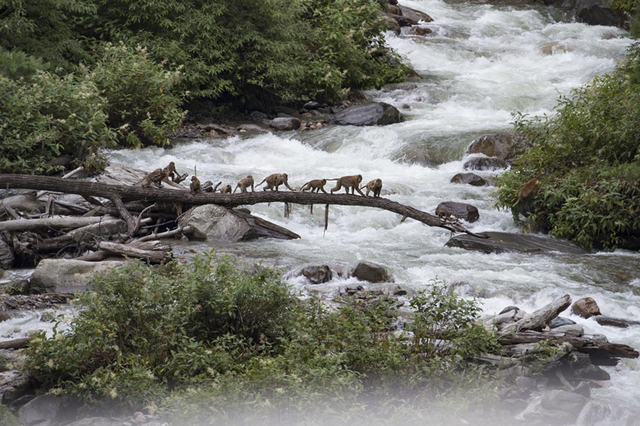 科考旅行｜秘境山南生态考察报名