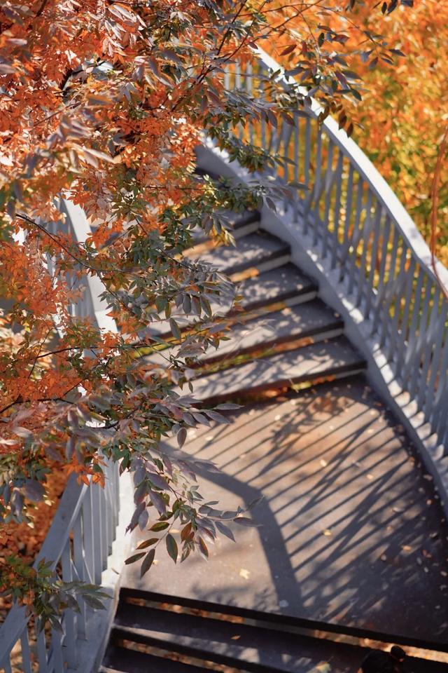 普陀·遇见新视角｜解锁专属你的氛围感大片，秋冬就来普陀这里拍→