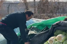 “牛哥”的卖菜经：“先卖村民的菜，让他们先看到钱”图片