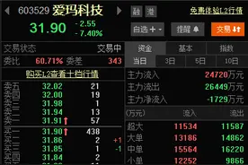爱玛科技股价大跌7.4％，市值蒸发近22亿！实控人张剑被立案调查图片