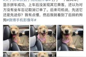 顺风车乱象：起猛了，拼车拼到狗子图片