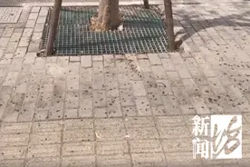 太恶心！街头这些不明粘液是啥？很多人都踩到了，网友：根本擦不干净图片