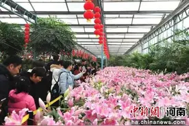 郑州绿博园：新春焕彩 年味正浓图片