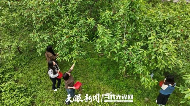 【多彩小水】绿水青山入画来,此间风景正好|多彩之绿