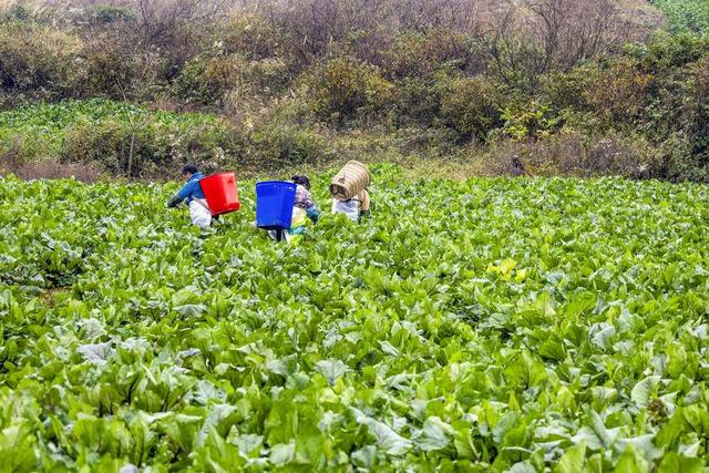 利川云雾山：日月绣岭结仙梁