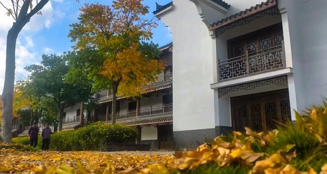 西冲玉带景区:徽派建筑与斑斓秋色的诗意交响