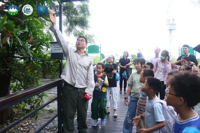 红树林、白海豚、非遗“鹤舞”，珠海这场自然教育藏着多少惊喜？