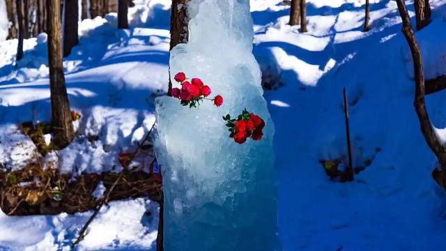 这个冬天，别再“猫冬”啦！300米超长滑道，来这开启嬉冰赏景的雪上之旅