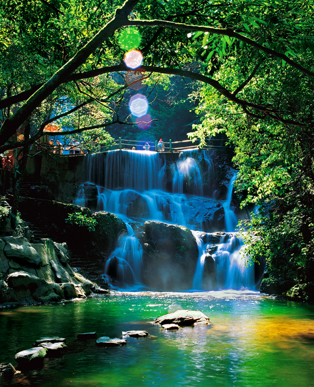 百万粉丝博主游鼎湖山感受“森呼吸”，善意相伴温暖旅途！