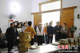 广西荔浦市文艺社科界采风走进革命老区图片