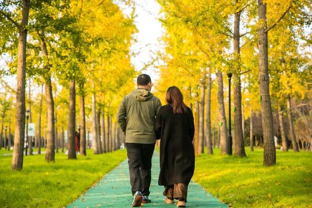 开始黄了，宋夹城“寻金季”正在上线！