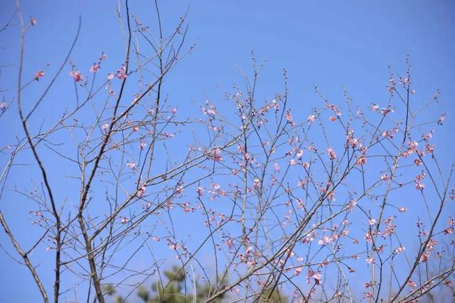 “Mei，我在连云港想开了！”