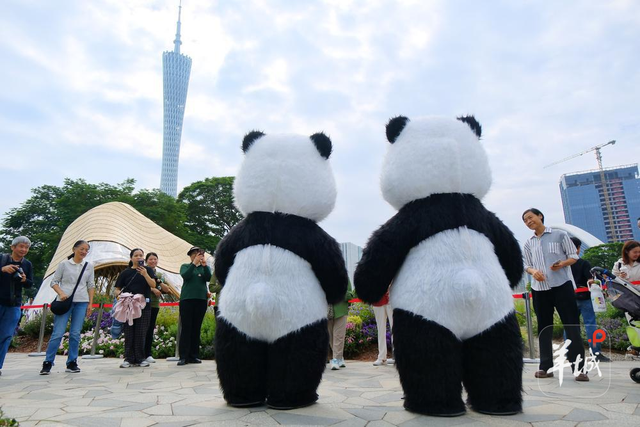 秋明拍花｜名副其实的“花城”：人在画中游，笑从花畔生