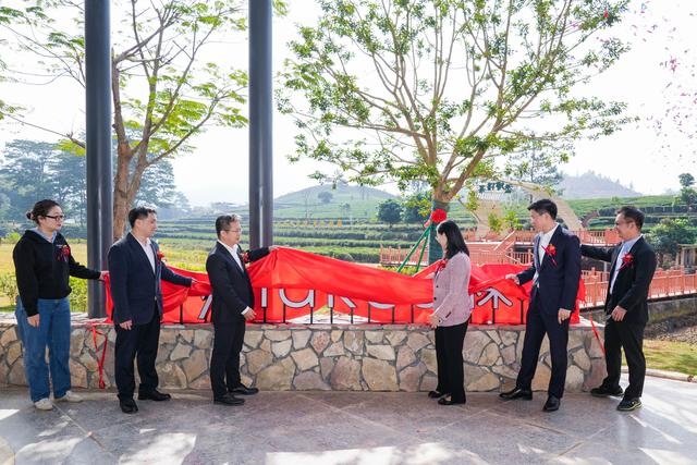 大湾区首个“茶旅疗愈”主题酒店！惠州裸心酒店启幕