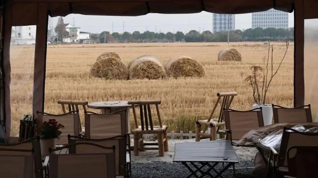 现代农业与田园风光交织，金山推出周末休闲新路线