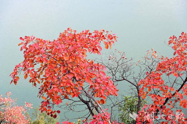 郧阳：滔河水库秋景如画
