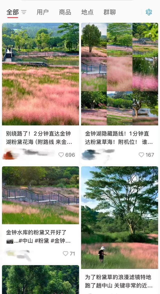 中山，粉了！免费免预约打卡→
