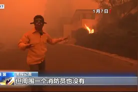 15万人怒而请愿！消防员失踪、市长缺位，洛杉矶山火失控谁来担责？图片