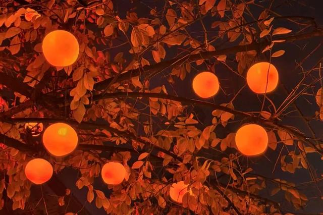 快出门！这些全是洛阳冬日限定！