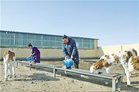 抚育新生命图片