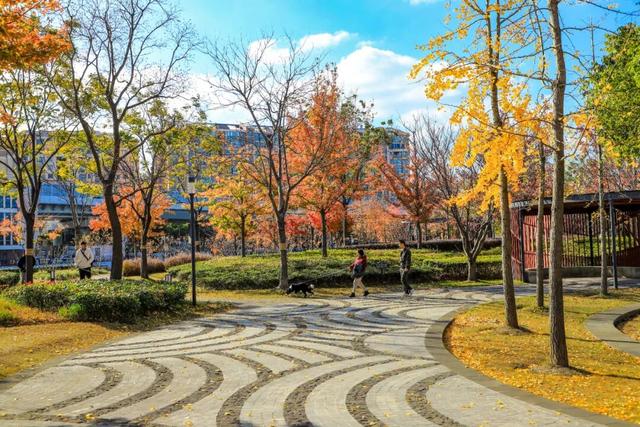 秋冬限定的普陀，美到让人流连忘返，你还不来打卡吗？