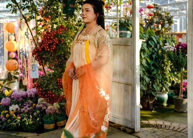 图说定西 | 深秋和菊花的浪漫邂逅