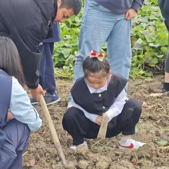 秋收分享会圆满举行！亲子组队，解锁田间趣味新体验～